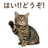 852424557