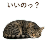 852424559