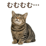 852424562