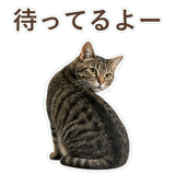 852424563