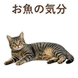 852424567