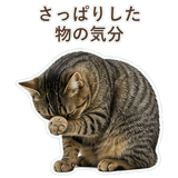 852424569
