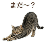 852424572