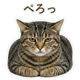 852424573