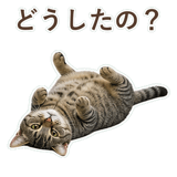 852424574