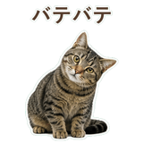 852424575