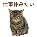 852424578