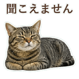852424579
