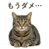 852424580