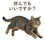 852424581
