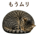 852424582