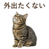 852424583