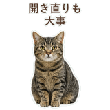 852424584