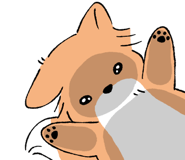 852424673
