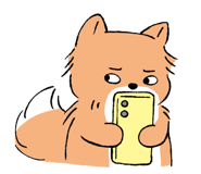 852424702