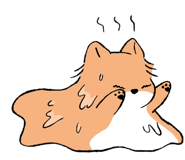 852424710