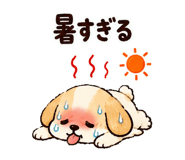852425466