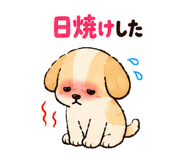 852425483
