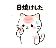 852425675