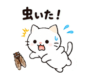 852425676