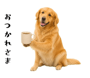 852426386