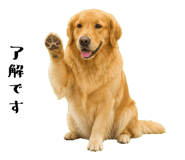 852426388