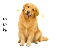 852426390