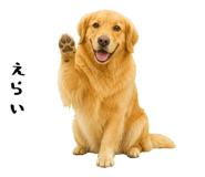852426393