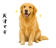 852426394