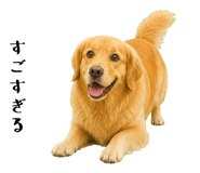 852426395