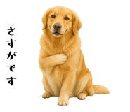 852426396