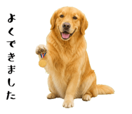 852426397