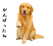 852426398
