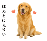 852426399