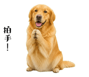 852426400