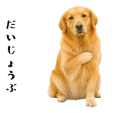 852426404