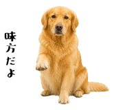 852426405