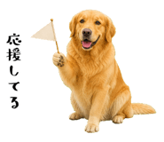 852426410