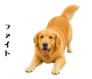 852426411
