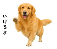 852426412