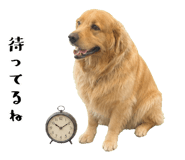 852426417
