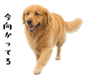 852426418