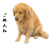 852426419