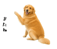 852426420