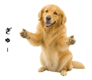 852426422