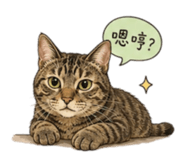852431139