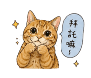 852431141