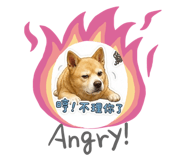 852431415