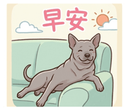 852432625