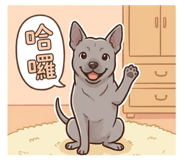 852432626